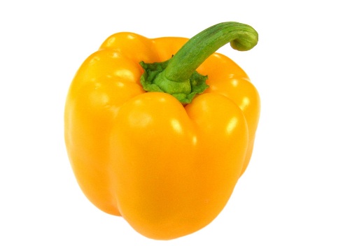 A zöldségek, a zöldpaprika szárításának módja a Csibészke magazin írásában