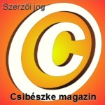 Szerzői jog