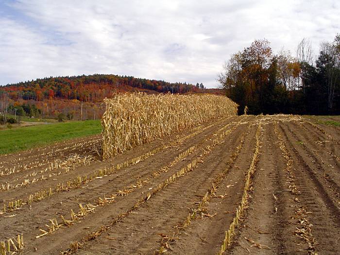 Föld, termőföld, földvásárlás, földhasználat Földforgalmi szerződésekhez biztonsági matrica lesz kötelező, ha elfogadják a jogszabály módosítást