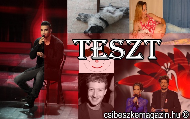 Teszt a Csibészke magazinban - 2014 februári híreiből.