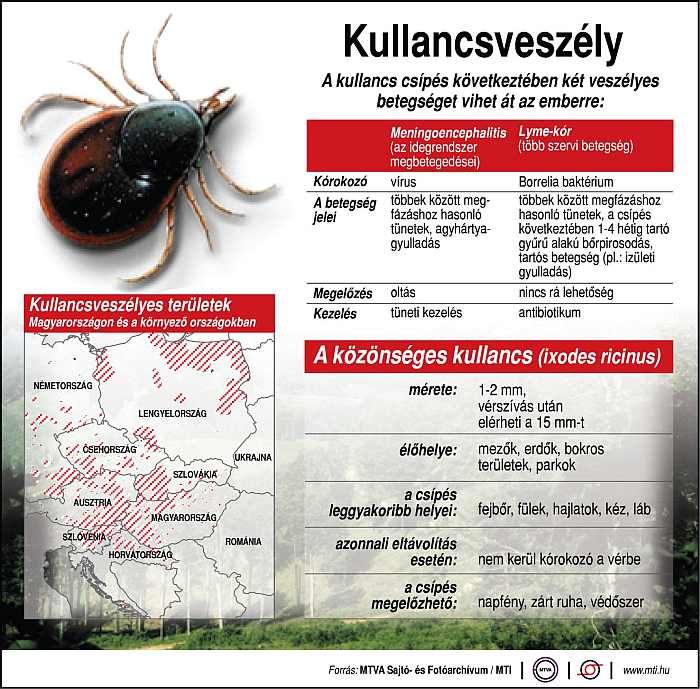Kullancs Magyarországon kullancsveszely