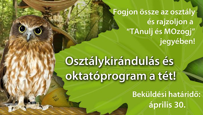 Rajzpályázat - Tantaki