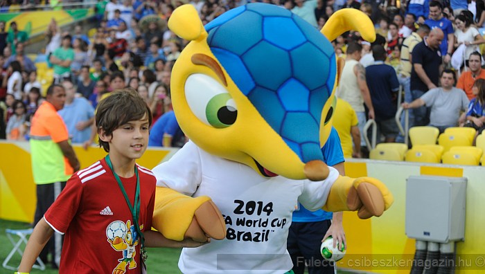 Fuleco 2014, Brazília