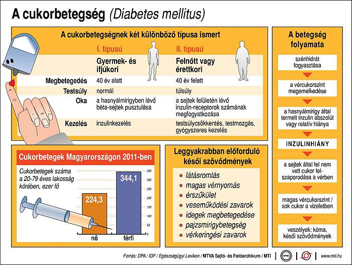 Cukorbetegség (Diabetes mellitus). A cukorbetegség, A betegség folyamata; A betegség típusai; A cukorbetegek száma Magyarországon, 2011-ben; Leggyakrabban előforduló késői szövődmények