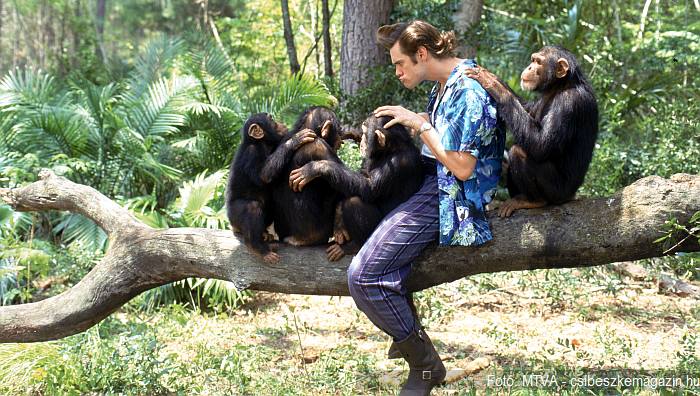 Ace Ventura 2 - nyáron az M2 műsorán