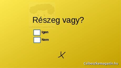 Józansági teszt