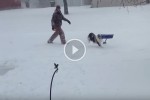 Vicces videó: a kutya szereti a havat