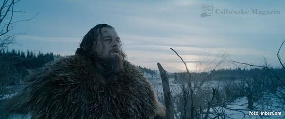 A medvetámadás túlélője: Leonardo DiCaprio