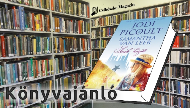 Jodi Picoult – Samantha van Leer: Sorok között könyvajánló