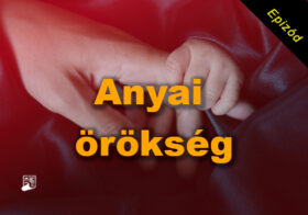 Anyai örökség sorozat epizód tartalma